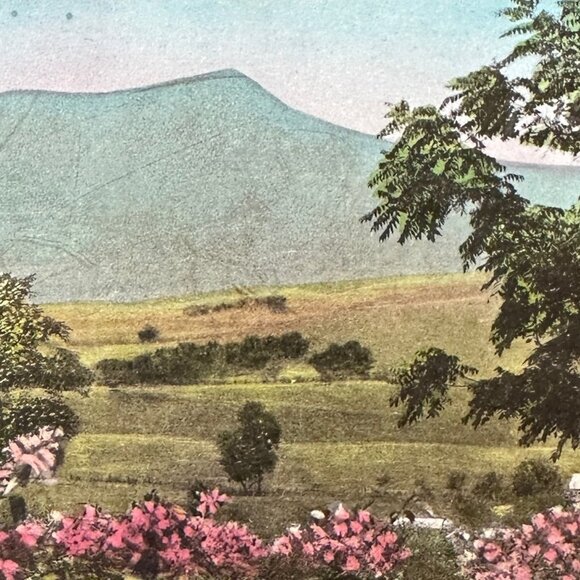 Massanutten Springs Station Harrisonburg Virginia Postcard - Picture 14 of 14